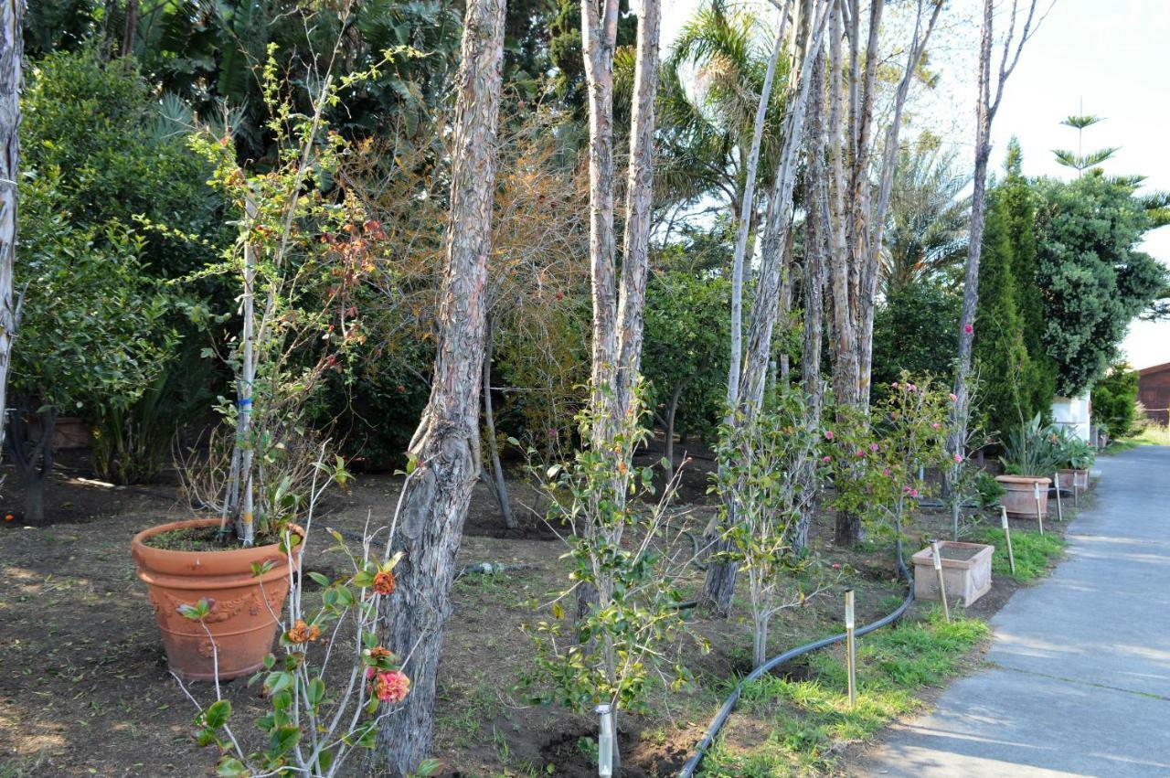 B&B Il Giardino Segreto Stromboli Exterior foto