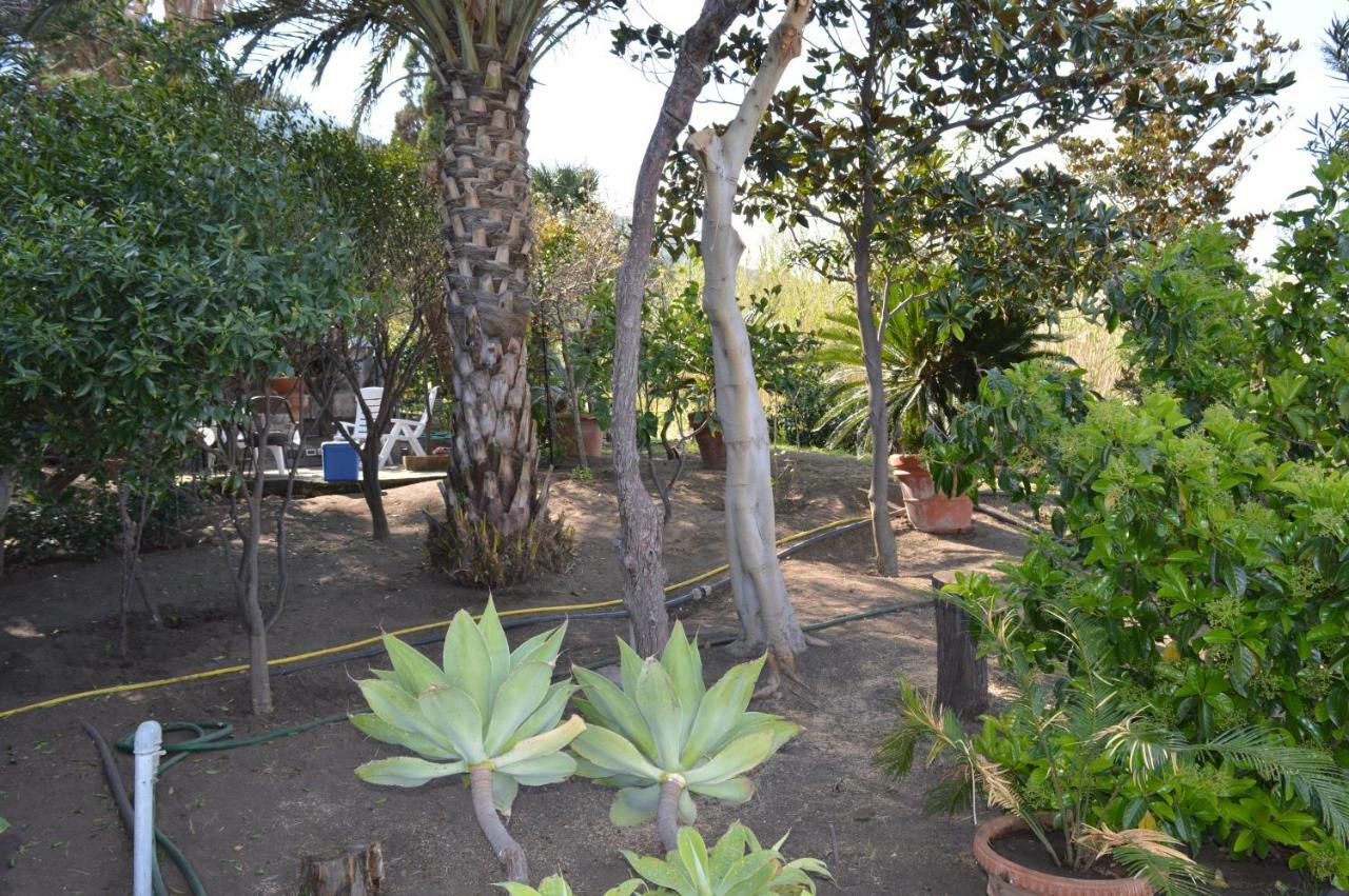 B&B Il Giardino Segreto Stromboli Exterior foto