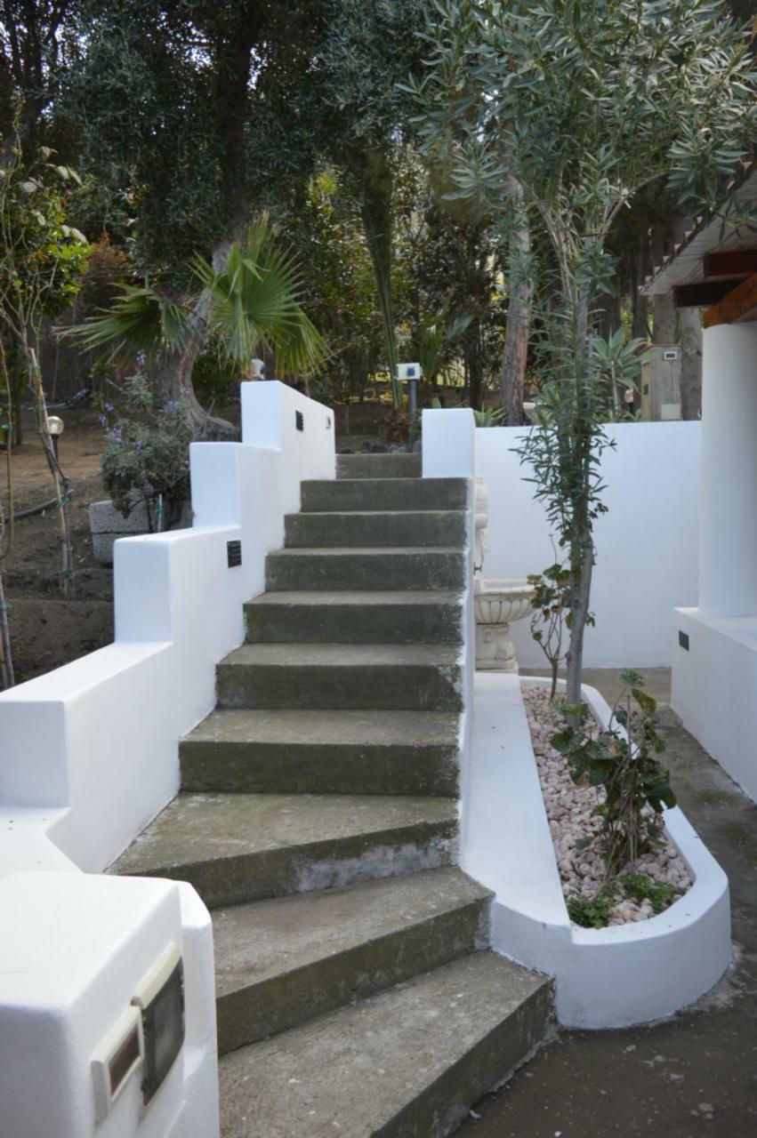 B&B Il Giardino Segreto Stromboli Exterior foto